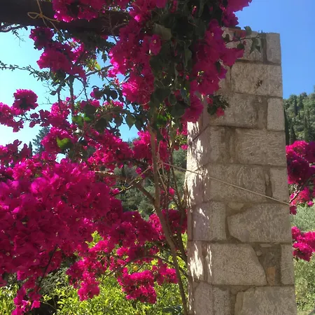 Stone House Villa Leonidio