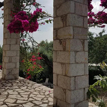 فيلة Stone House *